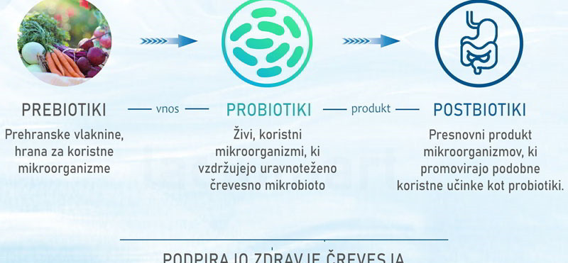 Odkrijte svet postbiotikov z edinstvenimi koristmi za zdravje črevesja