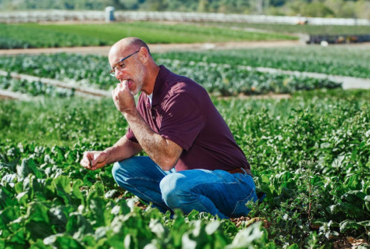 Alfa-lipoična kislina za vitalnost