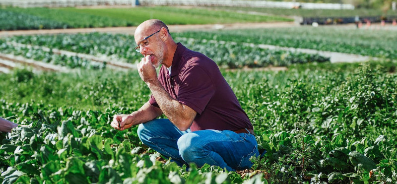 Alfa-lipoična kislina za vitalnost
