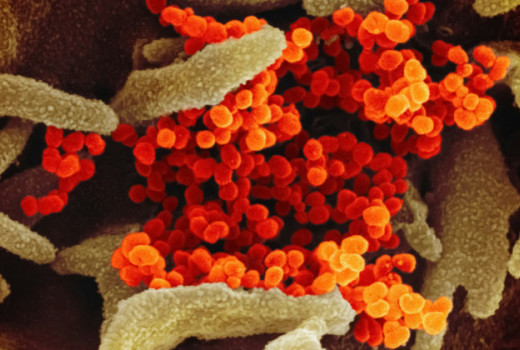Probiotiki, prebiotiki in postbiotiki