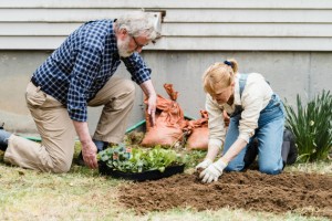 Ima hrana danes manj hranil?