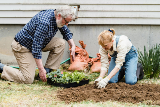 Ima hrana danes manj hranil?