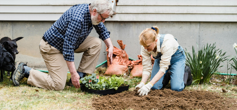 Ima hrana danes manj hranil?