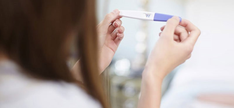 Vpliv morskih alg na zanositev