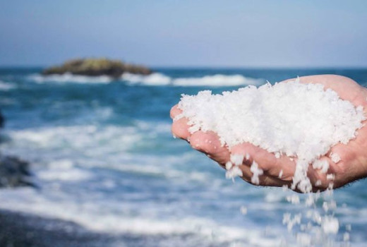 Morska sol in morske alge