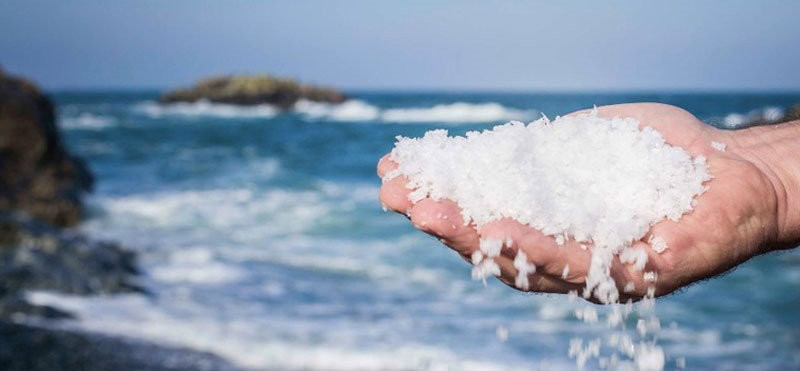 Morska sol in morske alge