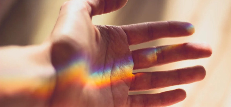 Hranila glede na tip kože