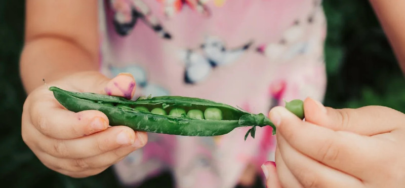Zakaj telo potrebuje baker?
