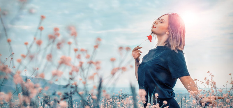 Rdeča maca za žensko zdravje