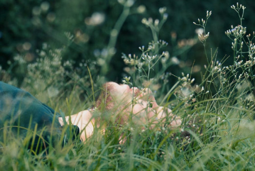 Kako pomagajo adaptogeni