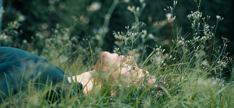 Kako pomagajo adaptogeni