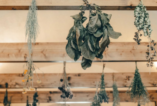 Blagodejne zeliščne grenčice