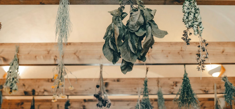 Blagodejne zeliščne grenčice