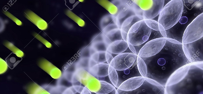 Antioksidanti za zaščito kože