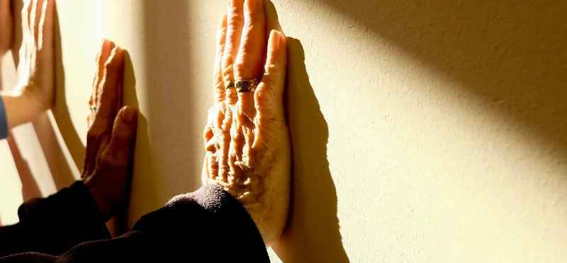 Spermidin – molekula dolgoživosti