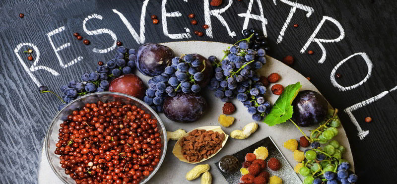 Resveratrol, antioksidant proti staranju s pozitivnimi učinki na srce in možgane