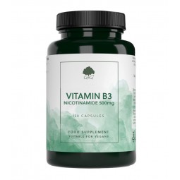 Vitamin B3 Nikotinamid 500 mg