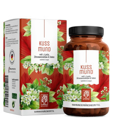 Kompleks lizin, selen in melisa