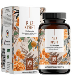 Kompleks s štirimi gobami Kompleks s štirimi gobami